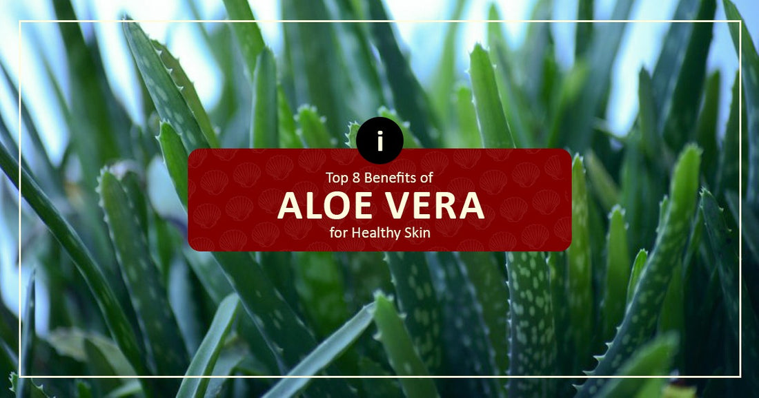 8 Benefits Of Aloe Vera For Healthy Skin