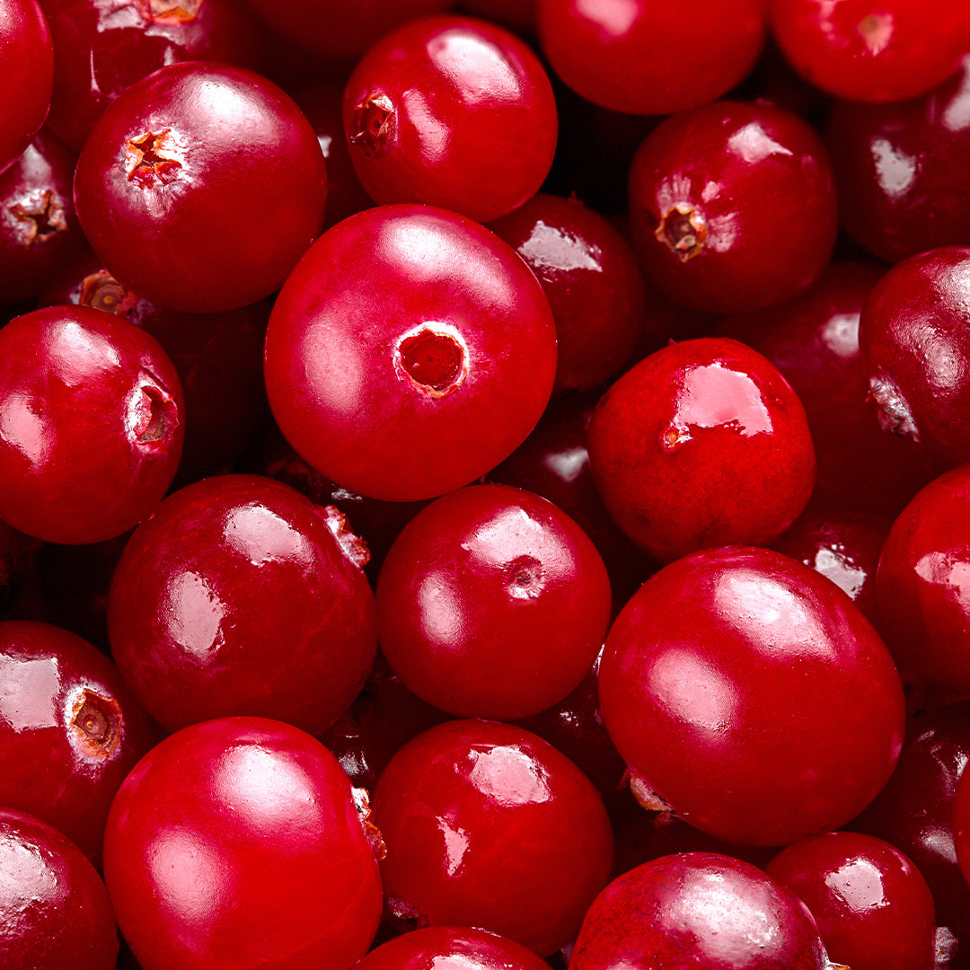 Alpha Arbutin Benefits for Skin| Dark Spot Care, Pigmentation, Brightening