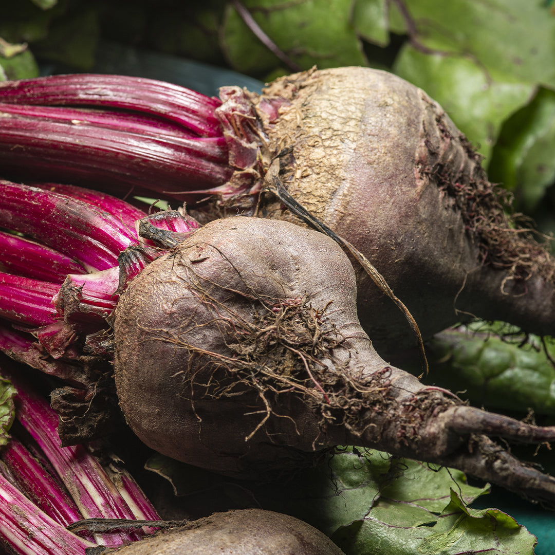 Beta Vulgaris (Beetroot) Benefits for Skin & Hair