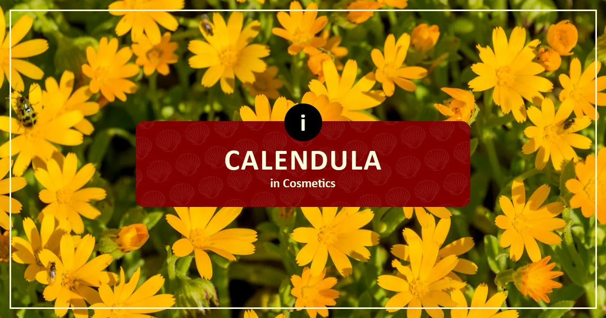 Calendula In Cosmetics