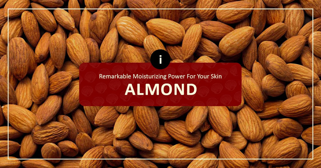 Moisture Power For Skin Of Almonds