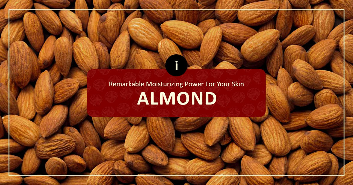 Moisture Power For Skin Of Almonds