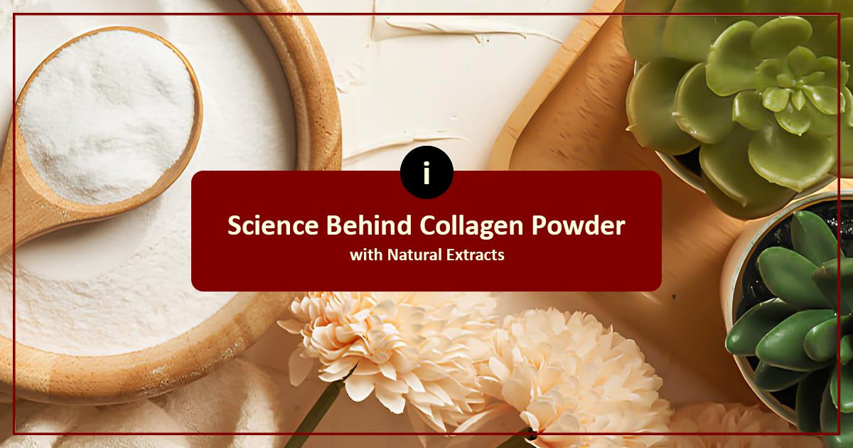 Science Behind Collagen Powder With Natural Extracts