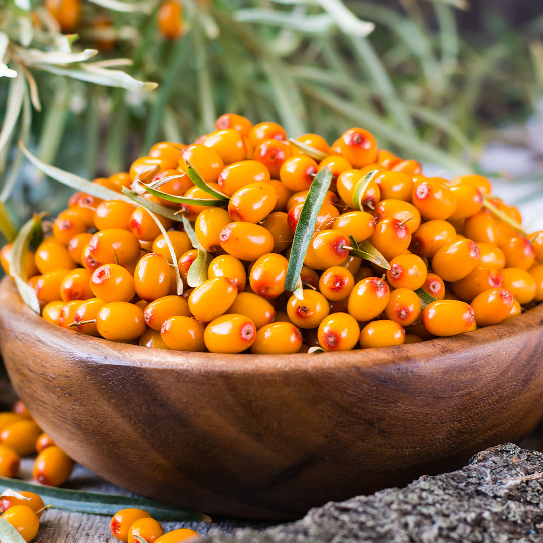 Sea Buckthorn Skincare Ingredient For Skin Nourishment And Antioxidant Protection