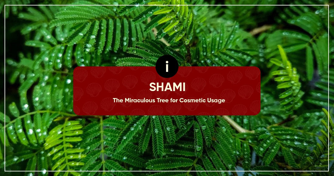 Shami For Cosmetic Usage