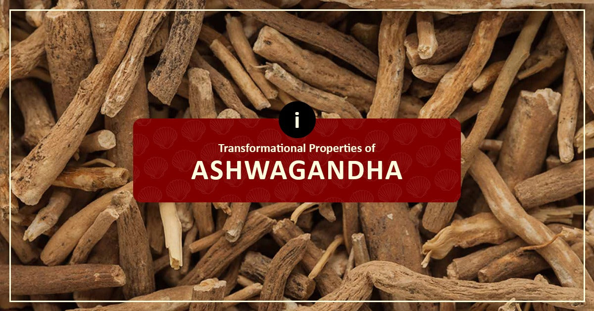 Transformational Properties Of Ashwagandha