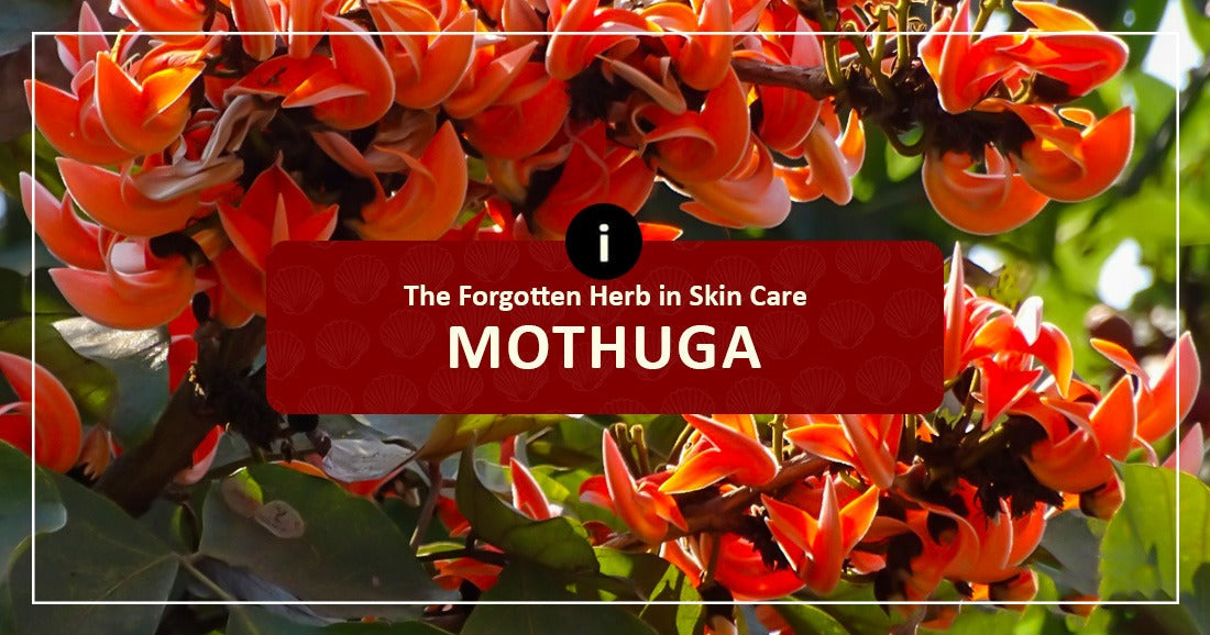 Mothuga For Unwanted hair Removal