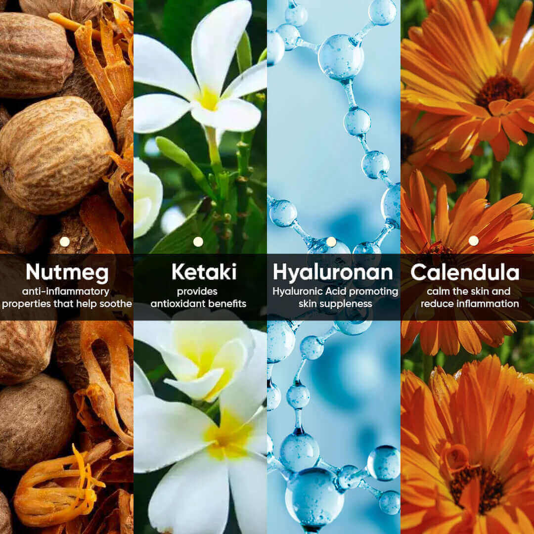 Day Cream Sunscreen With SPF 50 Ingredients