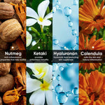 Day Cream Sunscreen With SPF 50 Ingredients